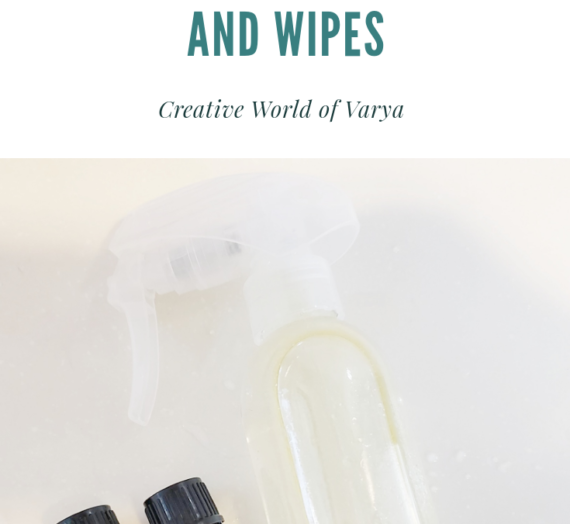 DIY Hand Sanitizer and Wipes